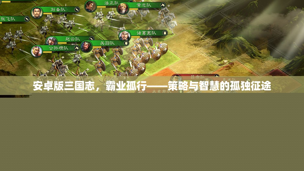 三國志安卓版，霸業(yè)孤行——策略與智慧的孤獨(dú)征途