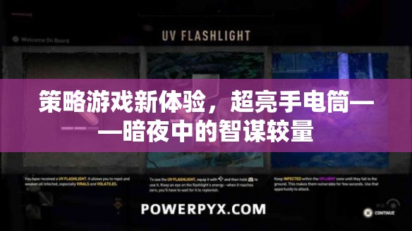 策略游戲新體驗，超亮手電筒——暗夜中的智謀較量