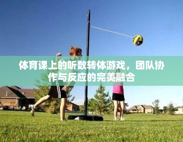 聽數(shù)轉(zhuǎn)體，體育課上的團(tuán)隊(duì)協(xié)作與反應(yīng)力大挑戰(zhàn)