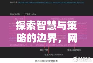 網(wǎng)絡(luò)策略游戲，智慧與策略的深度探索