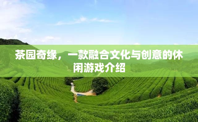 茶園奇緣，文化與創(chuàng)意的休閑游戲之旅