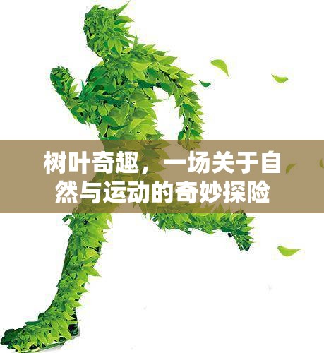 樹(shù)葉奇趣，一場(chǎng)自然與運(yùn)動(dòng)的奇妙探險(xiǎn)