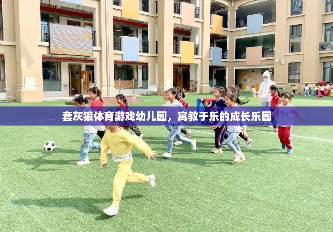 套灰狼體育游戲幼兒園，寓教于樂的成長樂園