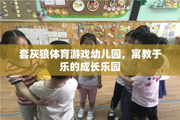 套灰狼體育游戲幼兒園，寓教于樂的成長樂園