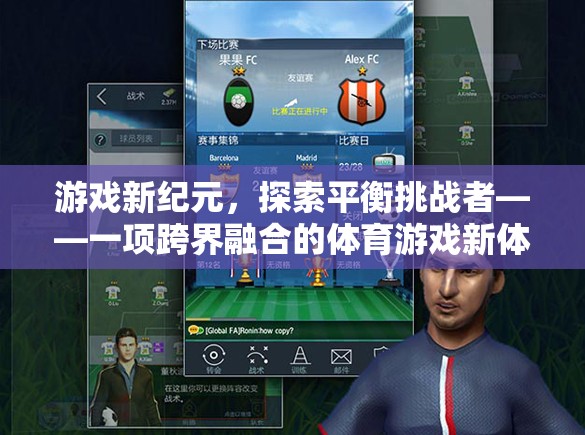 跨界融合的體育游戲新體驗(yàn)，探索平衡挑戰(zhàn)者的游戲新紀(jì)元