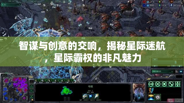 智謀與創(chuàng)意的交響，揭秘星際迷航中的星際霸權(quán)非凡魅力