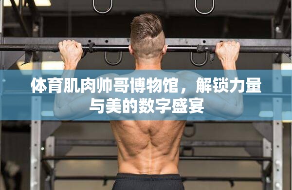 解鎖力量與美的數(shù)字盛宴，體育肌肉帥哥博物館