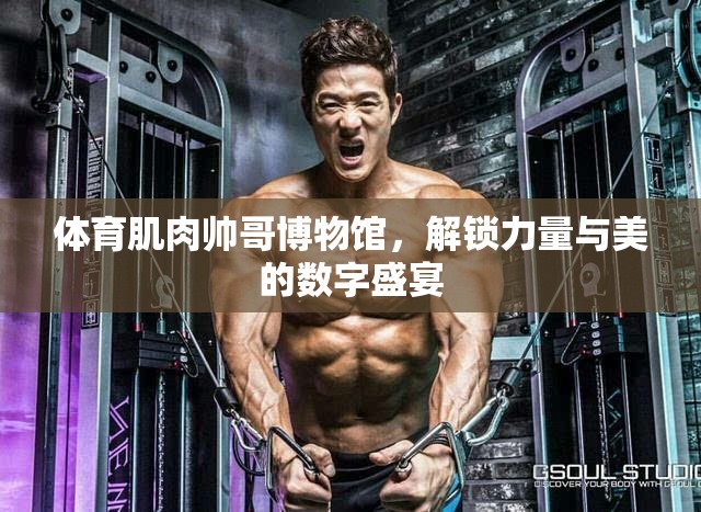解鎖力量與美的數(shù)字盛宴，體育肌肉帥哥博物館