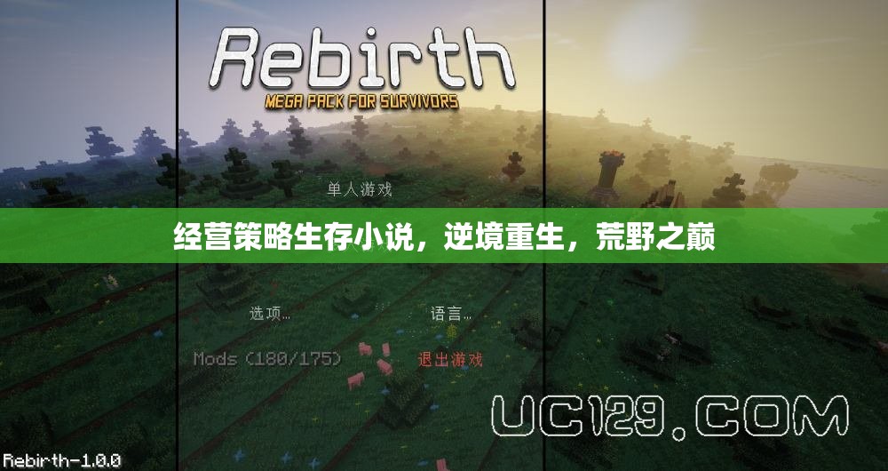 荒野之巔，逆境重生的經營策略