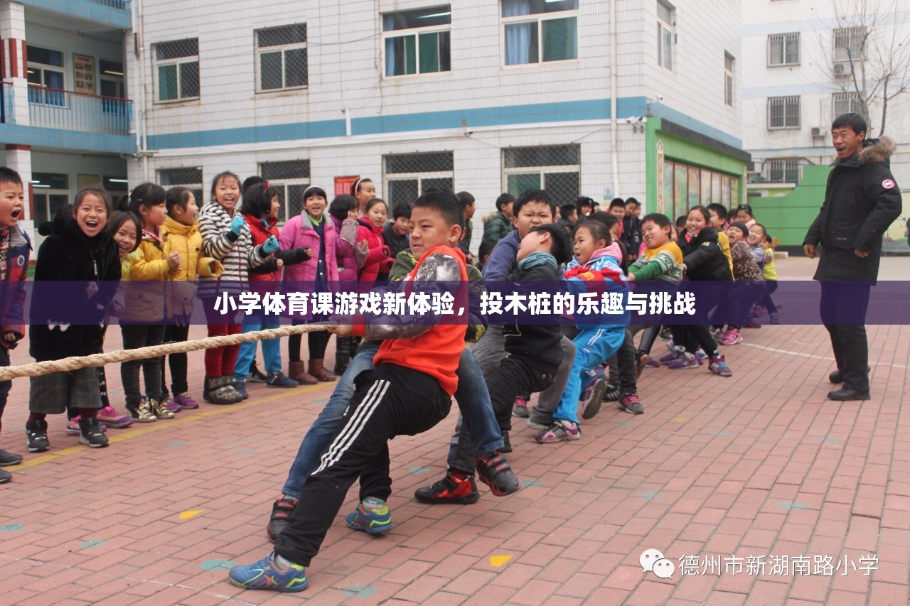 投木樁，小學體育課的全新游戲體驗與挑戰(zhàn)