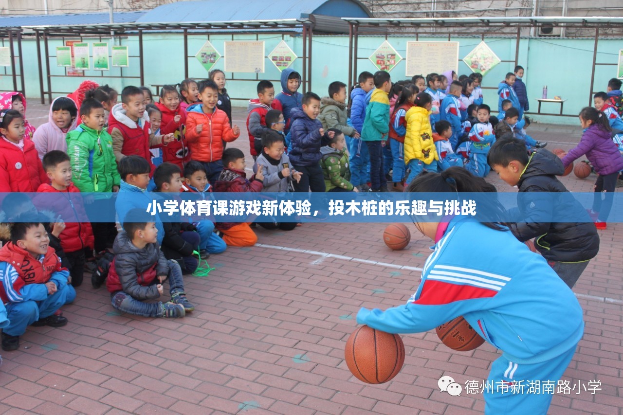 投木樁，小學體育課的全新游戲體驗與挑戰(zhàn)