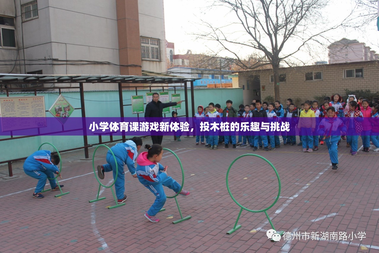 投木樁，小學體育課的全新游戲體驗與挑戰(zhàn)