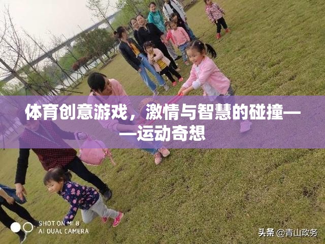 體育創(chuàng)意游戲，激情與智慧的碰撞——運動奇想