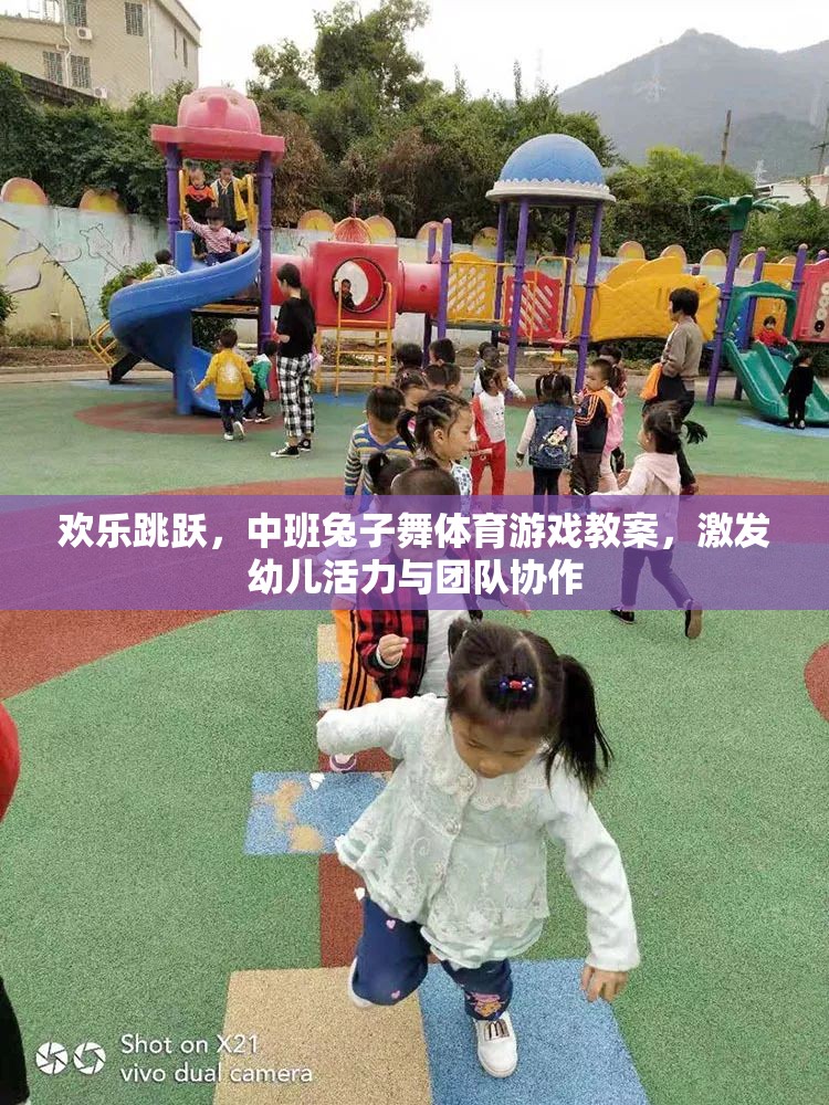 歡樂跳躍，中班兔子舞體育游戲教案，激發(fā)幼兒活力與團(tuán)隊(duì)協(xié)作