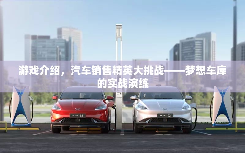 汽車(chē)銷售精英大挑戰(zhàn)，夢(mèng)想車(chē)庫(kù)的實(shí)戰(zhàn)演練