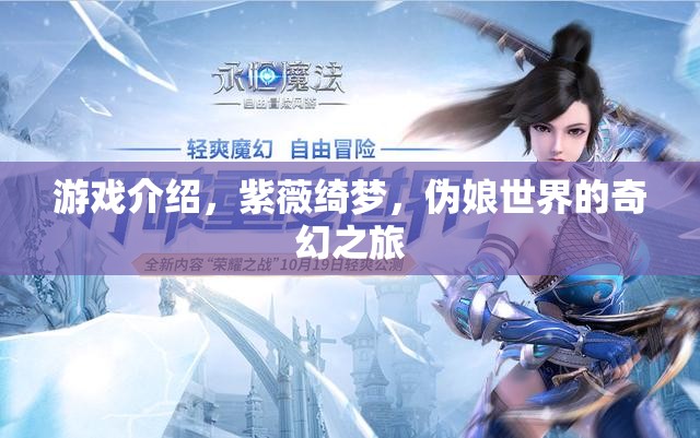 游戲介紹，紫薇綺夢，偽娘世界的奇幻之旅