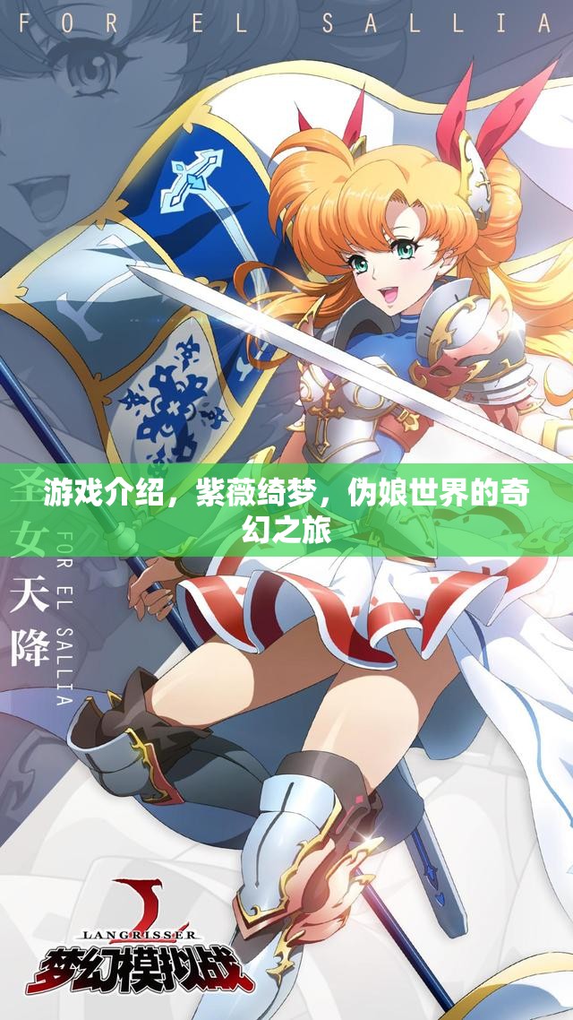 游戲介紹，紫薇綺夢，偽娘世界的奇幻之旅