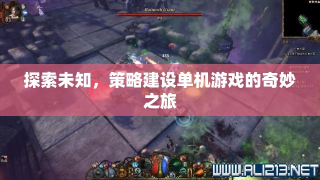 探索未知，策略建設(shè)單機(jī)游戲的奇妙之旅