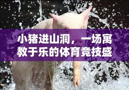 小豬進(jìn)山洞，一場寓教于樂的體育競技盛宴