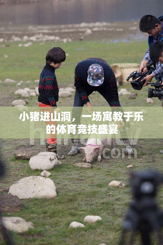 小豬進(jìn)山洞，一場寓教于樂的體育競技盛宴