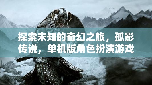 孤影傳說(shuō)，探索未知的奇幻之旅