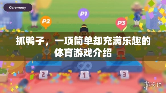歡樂(lè)挑戰(zhàn)，抓鴨子——簡(jiǎn)單中的樂(lè)趣與智慧