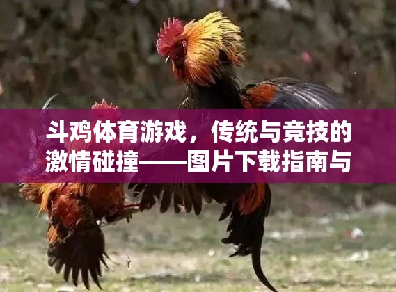 傳統(tǒng)與競(jìng)技的激情碰撞，斗雞體育游戲深度解析與圖片下載指南