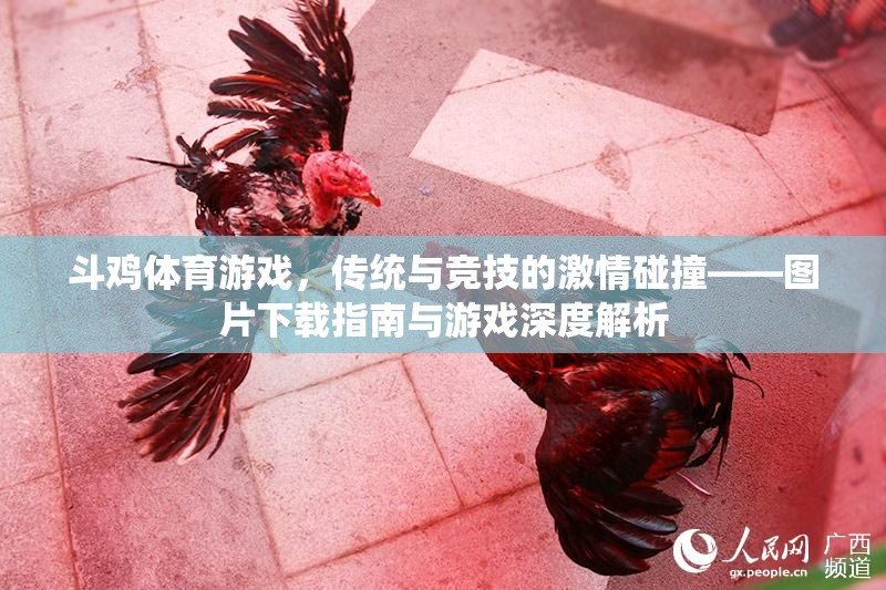 傳統(tǒng)與競(jìng)技的激情碰撞，斗雞體育游戲深度解析與圖片下載指南