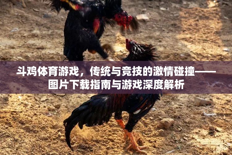 傳統(tǒng)與競(jìng)技的激情碰撞，斗雞體育游戲深度解析與圖片下載指南