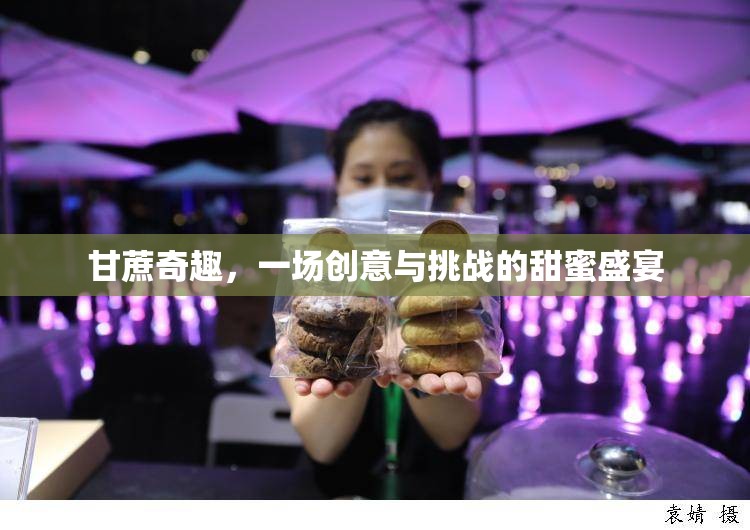 甘蔗奇趣，一場創(chuàng)意與挑戰(zhàn)的甜蜜盛宴