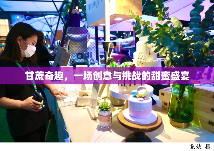 甘蔗奇趣，一場創(chuàng)意與挑戰(zhàn)的甜蜜盛宴