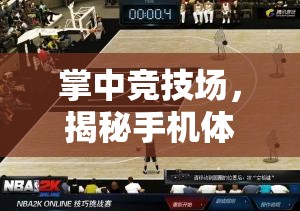 掌中競技場，揭秘手機(jī)體育類游戲中的巨擘之作