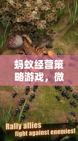 微觀世界的宏大藍圖，螞蟻經(jīng)營策略游戲