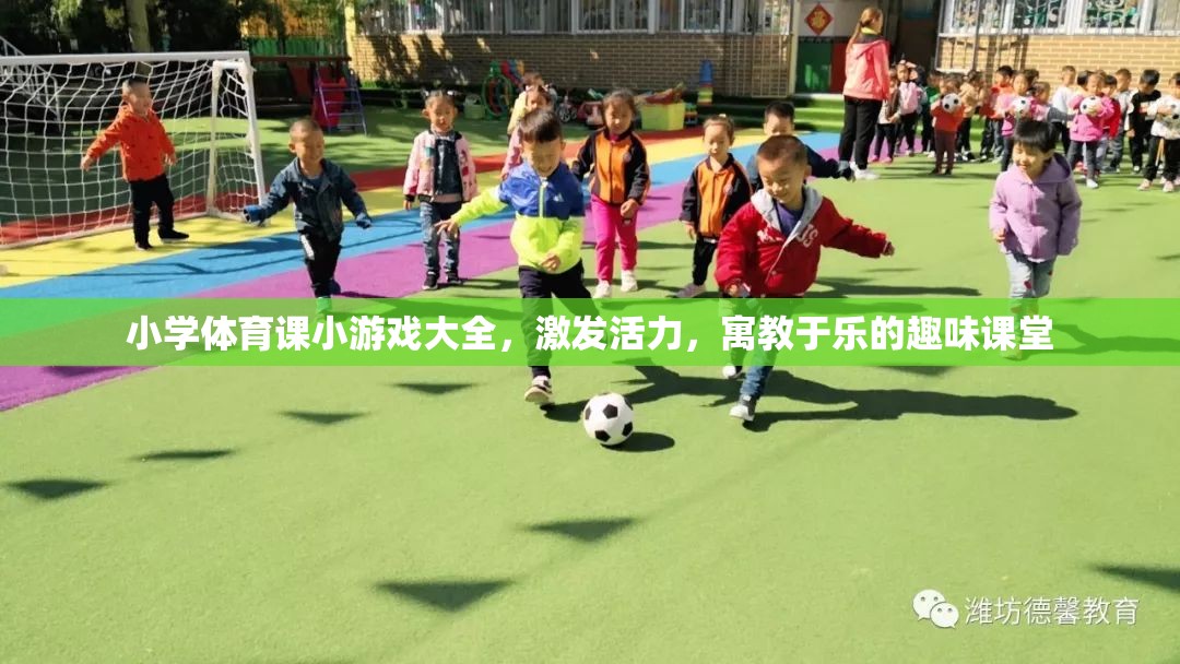 小學體育課，激發(fā)活力與寓教于樂的趣味小游戲大全