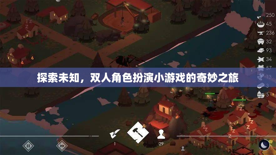 雙人角色扮演，探索未知的奇妙之旅
