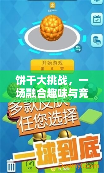 餅干大挑戰(zhàn)，趣味與競(jìng)技的完美融合