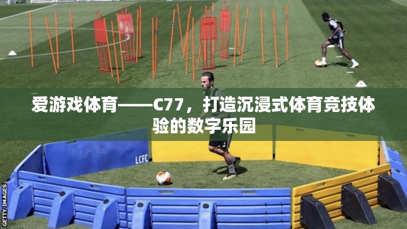 C77，愛游戲體育的數(shù)字樂園，打造沉浸式體育競技新體驗(yàn)