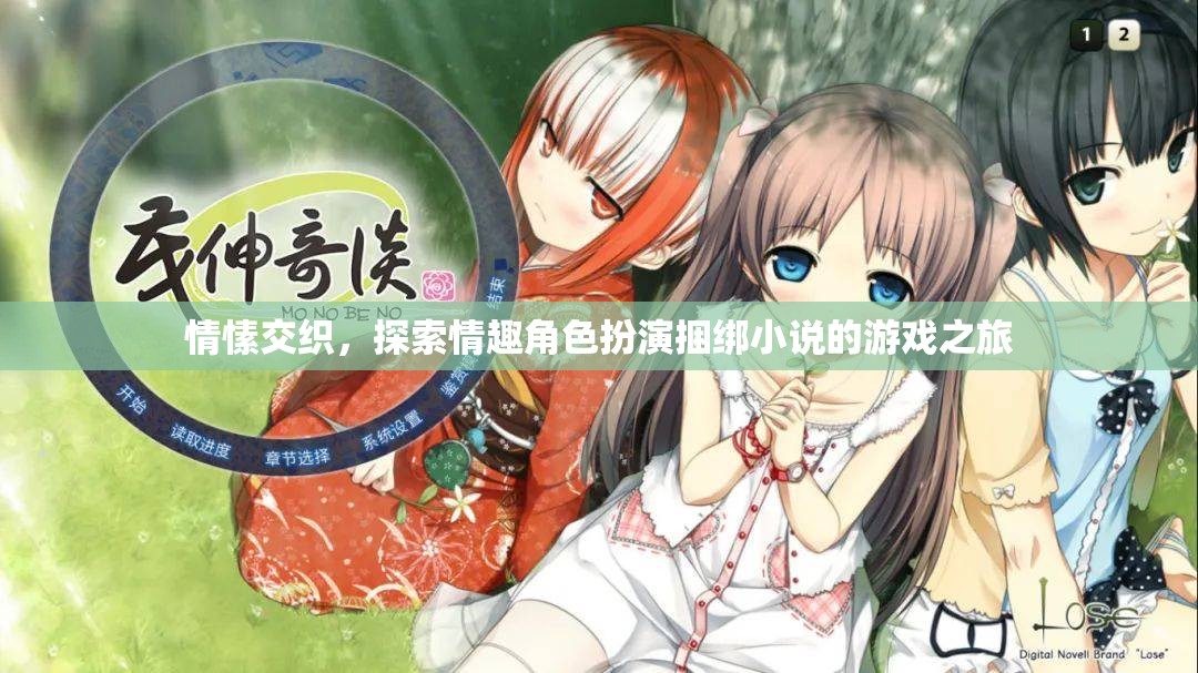情愫交織，探索情趣角色扮演捆綁小說(shuō)的游戲之旅