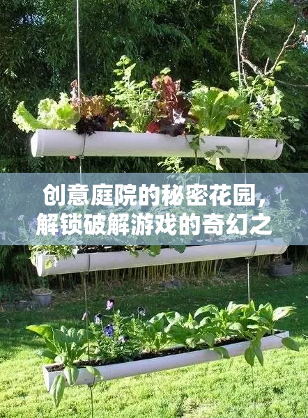 解鎖創(chuàng)意庭院的秘密花園，一場破解游戲的奇幻之旅