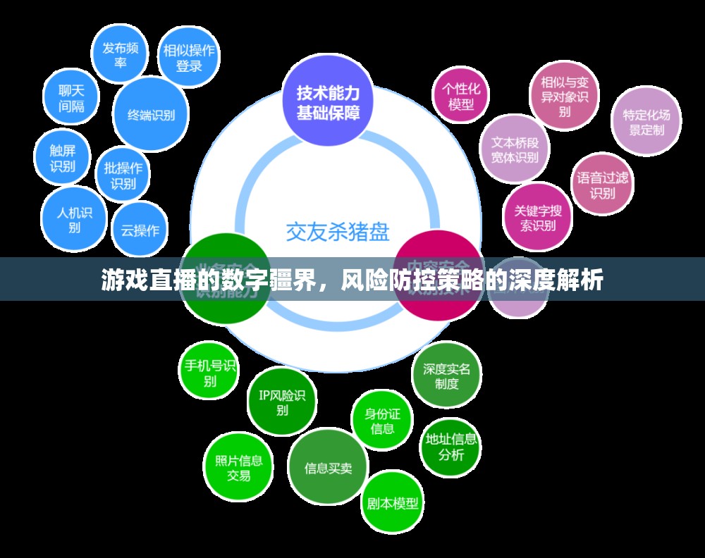 游戲直播的數(shù)字疆界，風(fēng)險(xiǎn)防控策略的深度解析