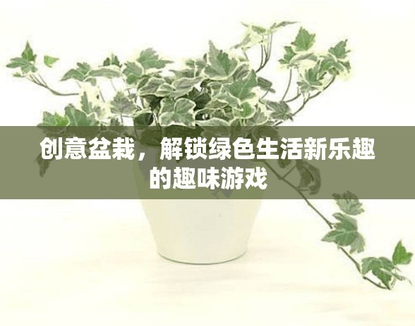 創(chuàng)意盆栽，解鎖綠色生活新樂趣的趣味游戲  第1張