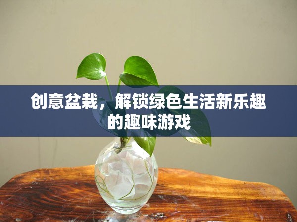 創(chuàng)意盆栽，解鎖綠色生活新樂趣的趣味游戲  第2張
