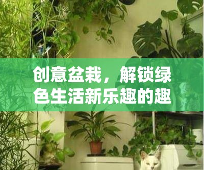 創(chuàng)意盆栽，解鎖綠色生活新樂趣的趣味游戲  第3張