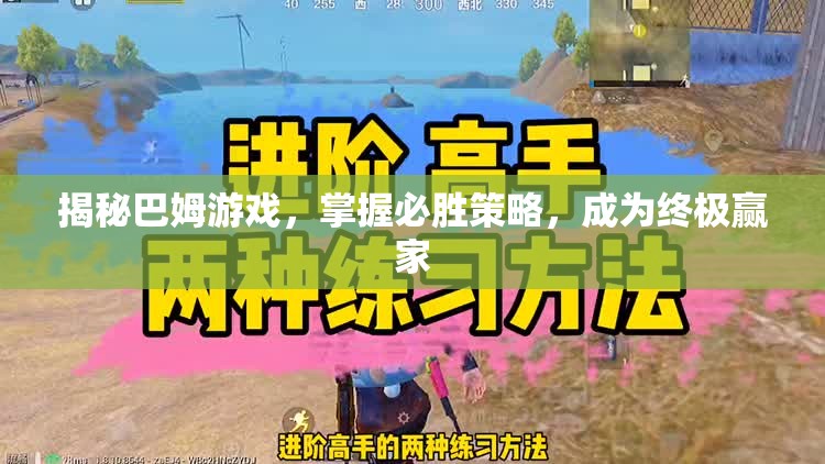 揭秘巴姆游戲，解鎖必勝策略，成就終極贏家