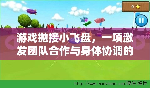 游戲拋接小飛盤，一項激發(fā)團隊合作與身體協(xié)調(diào)的體育教案