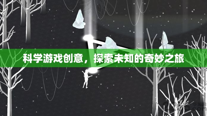 科學(xué)游戲創(chuàng)意，探索未知的奇妙之旅