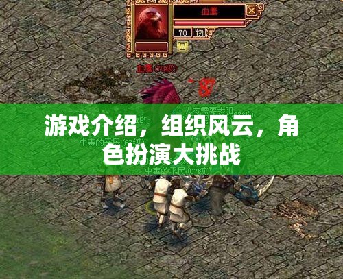 組織風云，角色扮演大挑戰(zhàn)游戲介紹