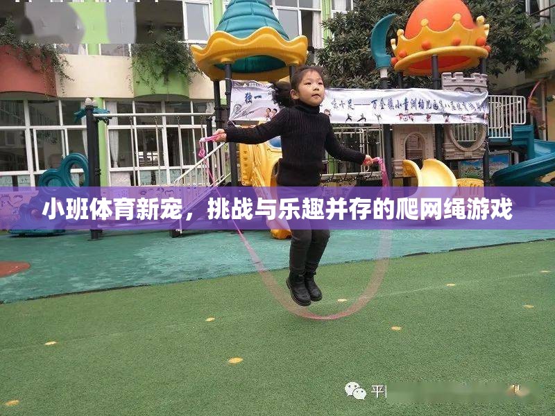 小班體育新寵，爬網(wǎng)繩游戲——挑戰(zhàn)與樂(lè)趣的完美結(jié)合
