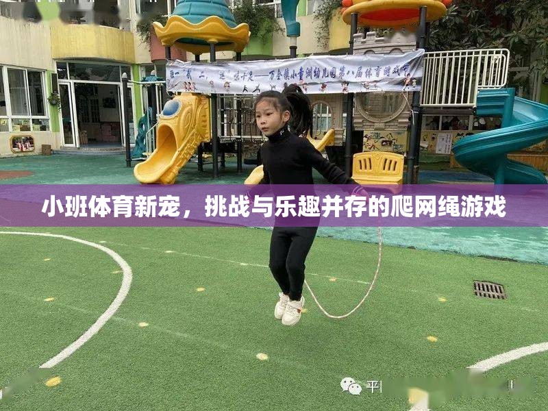 小班體育新寵，爬網(wǎng)繩游戲——挑戰(zhàn)與樂(lè)趣的完美結(jié)合