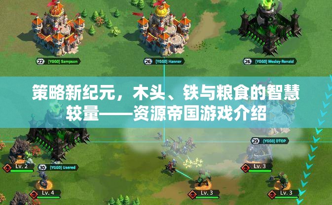 策略新紀(jì)元，資源帝國(guó)游戲中的木頭、鐵與糧食智慧較量  第2張